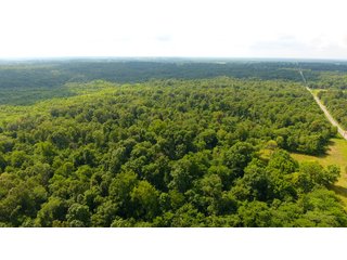 TRACT 30 - ILLINOIS LAND AUCTION - 4,810+/- ACRES OFFERED IN 85 TRACTS IN FRANKLIN, WILLIAMSON, HAMILTON & SALINE COUNTIES, ILLINOIS